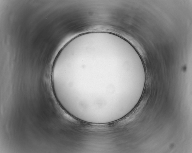 X0000103441486200810031402