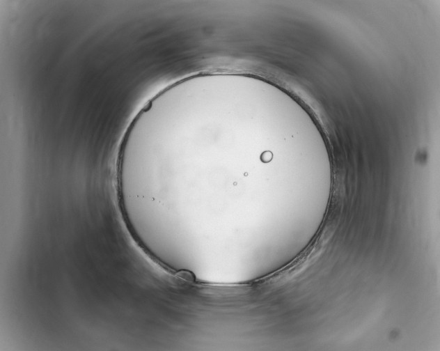 X0000103441487200810031402