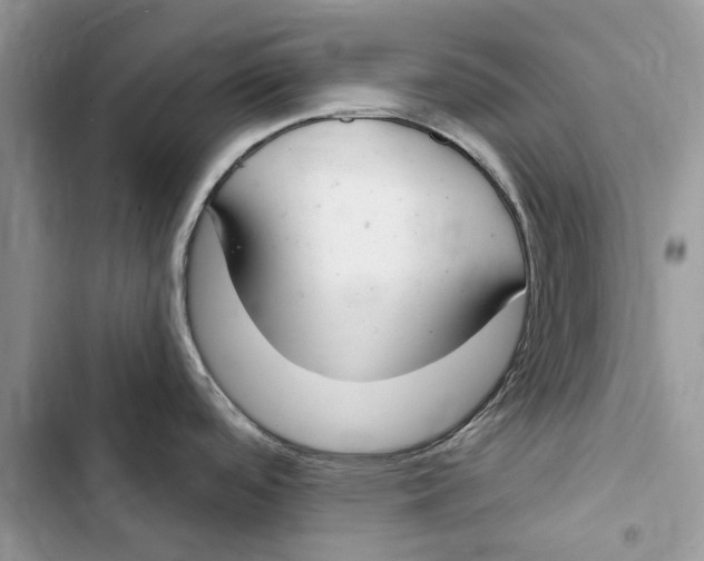 X0000103441488200810031402