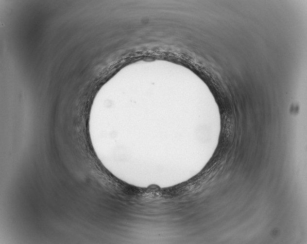 X0000103441489200810031401