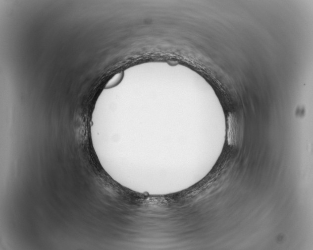 X0000103441491200810031401