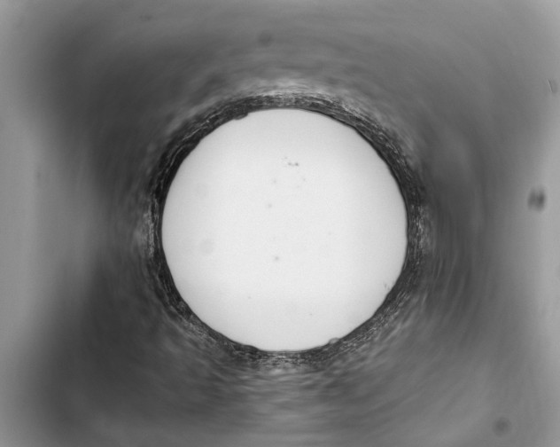 X0000103441493200810031401
