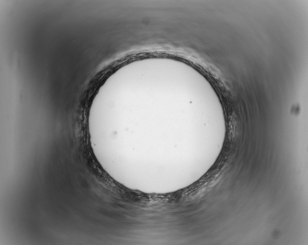 X0000103441494200810031401