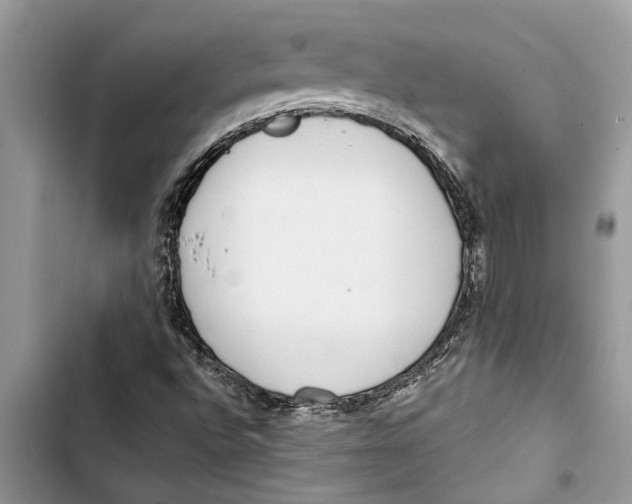 X0000103441496200810031401