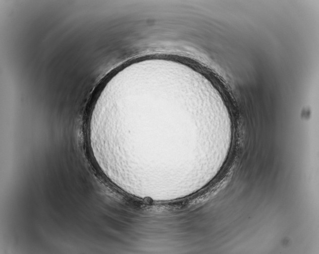 X0000103441497200810031401