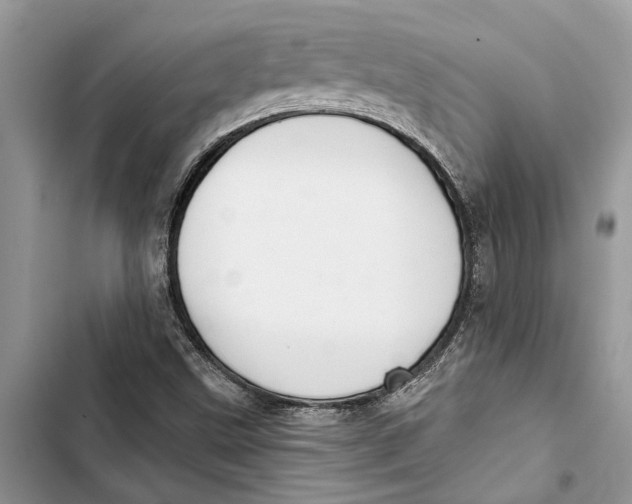 X0000103441499200810031401