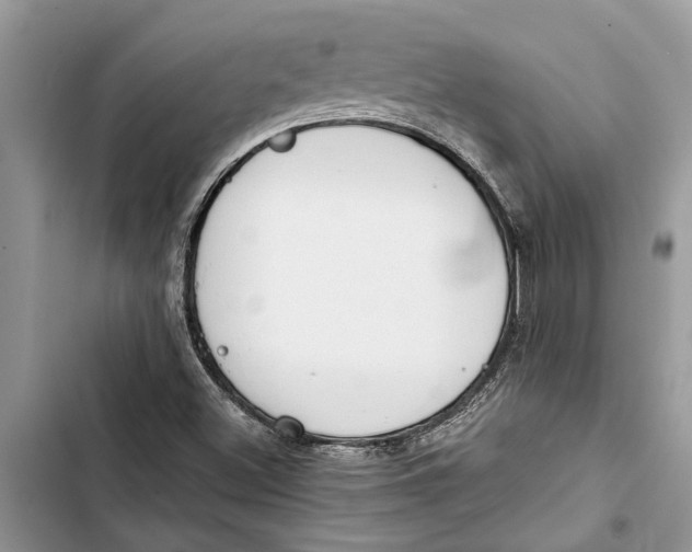 X0000103441500200810031401