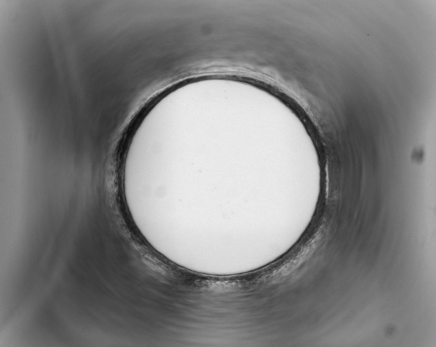 X0000103441501200810031401