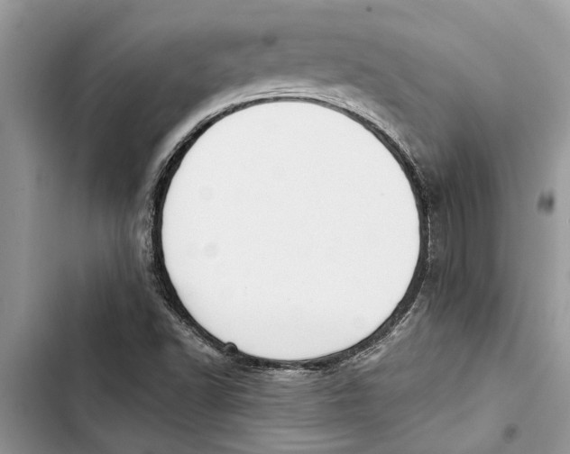 X0000103441502200810031401