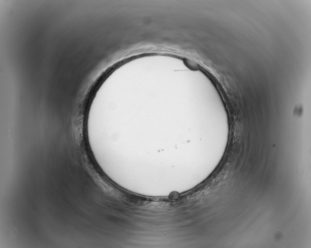 X0000103441503200810031401