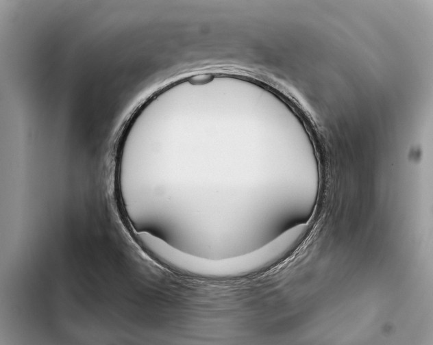 X0000103441504200810031401