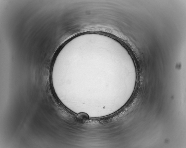 X0000103441505200810031401