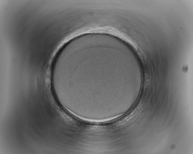 X0000103441506200810031401