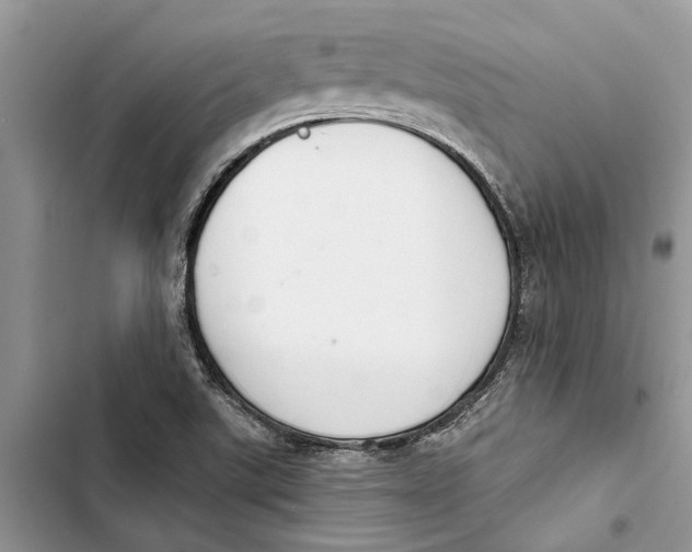 X0000103441507200810031401