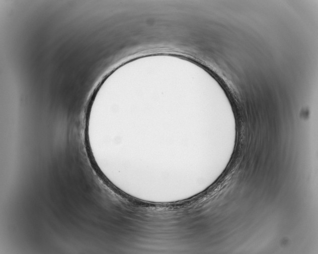 X0000103441508200810031401