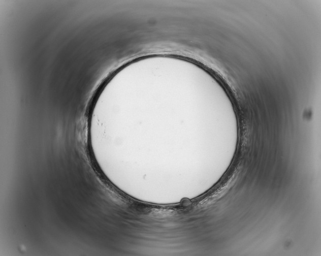 X0000103441509200810031401