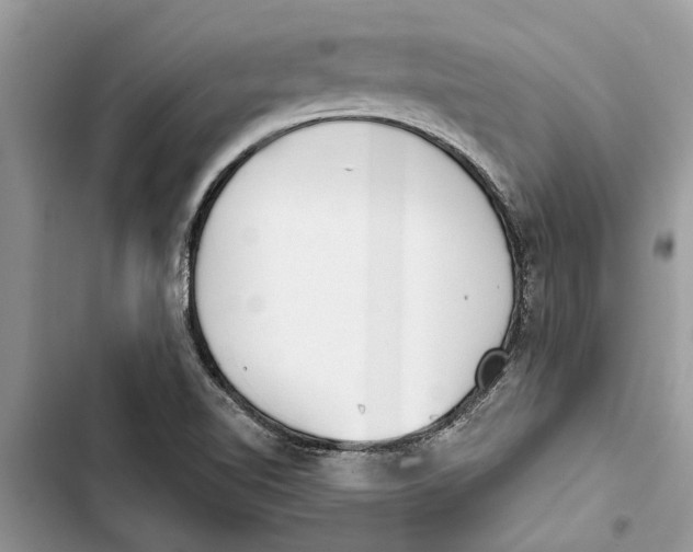 X0000103441510200810031401