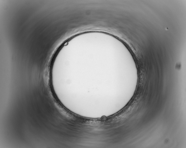 X0000103441511200810031401