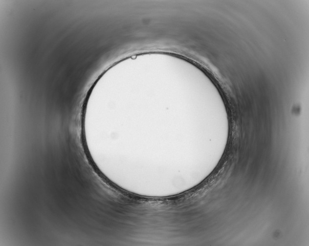 X0000103441512200810031401