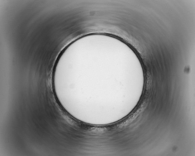 X0000103441513200810031401