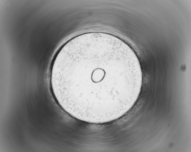 X0000103441514200810031401