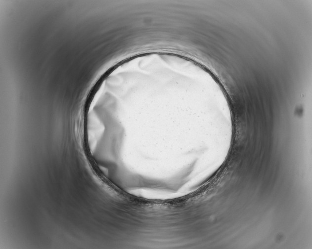 X0000103441515200810031401
