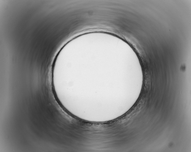 X0000103441516200810031401