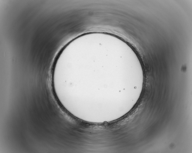 X0000103441517200810031401