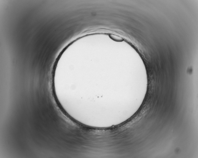 X0000103441518200810031401