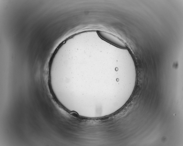 X0000103441519200810031402