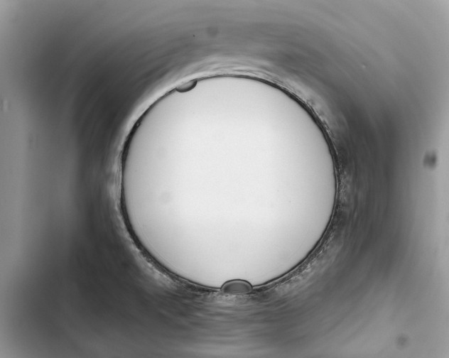 X0000103441520200810031402