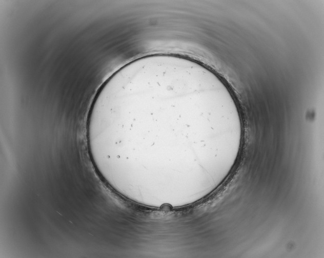 X0000103441521200810031402