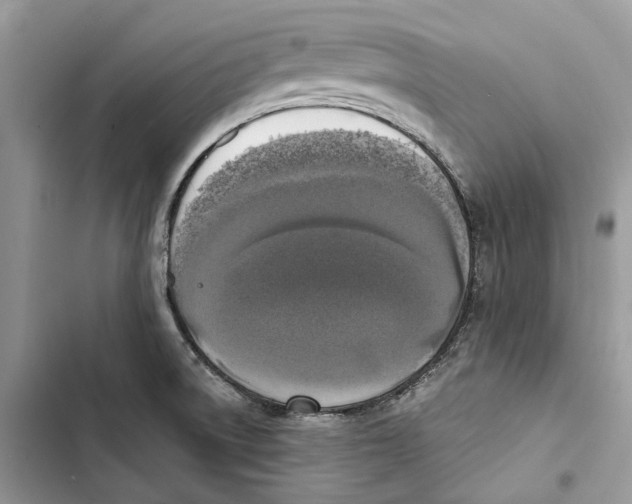 X0000103441522200810031402