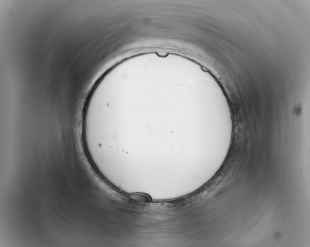 X0000103441523200810031402