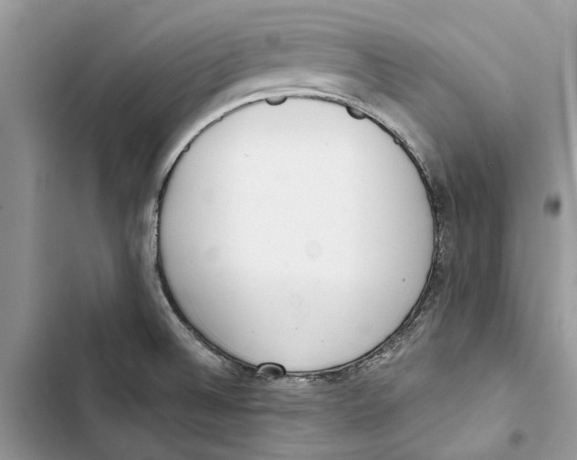 X0000103441524200810031402