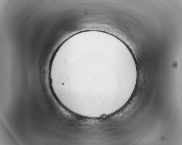 X0000103441525200810031402