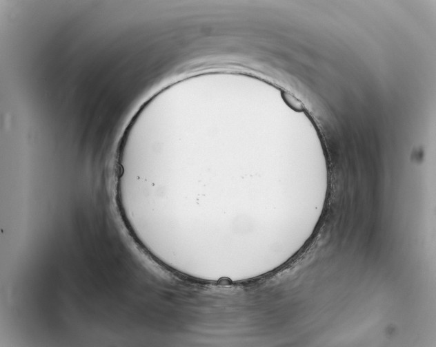 X0000103441526200810031402