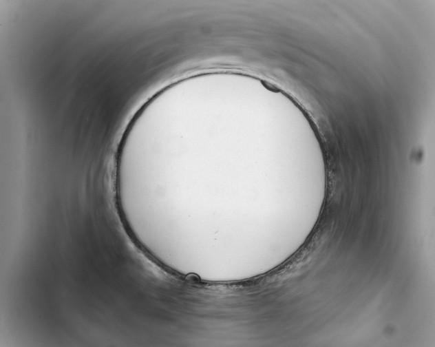 X0000103441527200810031402
