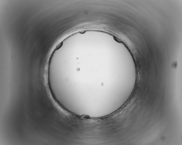 X0000103441528200810031402