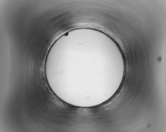 X0000103441529200810031402