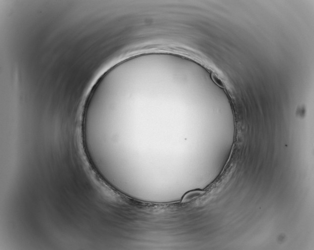 X0000103441530200810031402