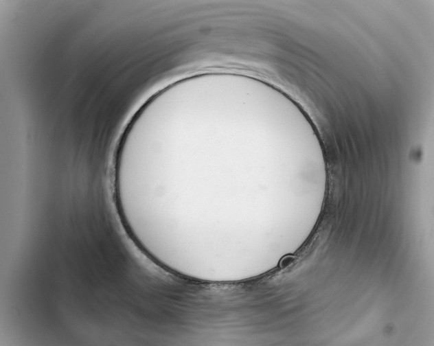 X0000103441531200810031402