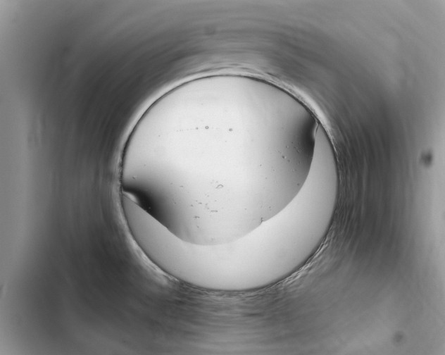 X0000103441532200810031402