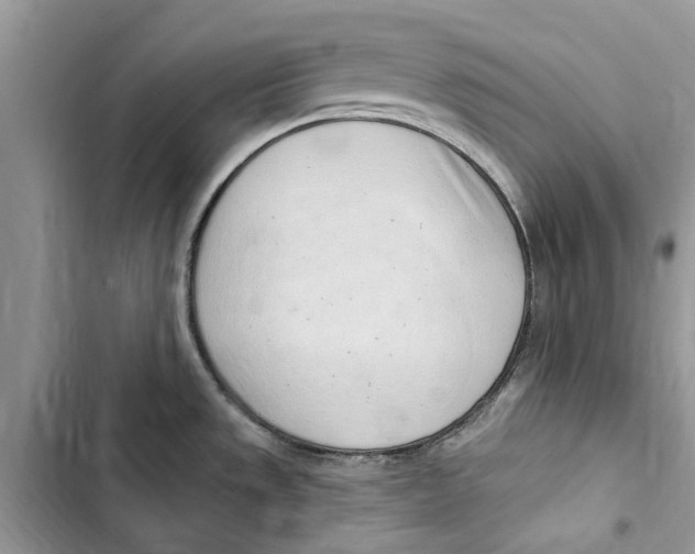 X0000103441533200810031402