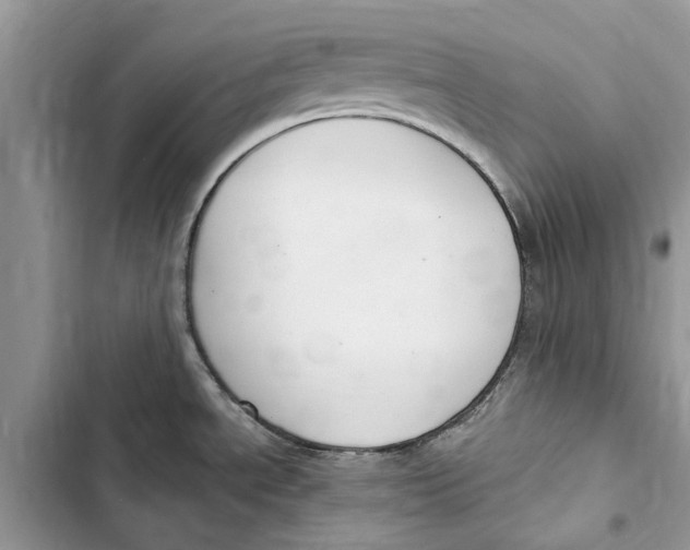 X0000103441534200810031402