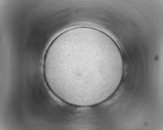 X0000103441535200810031402