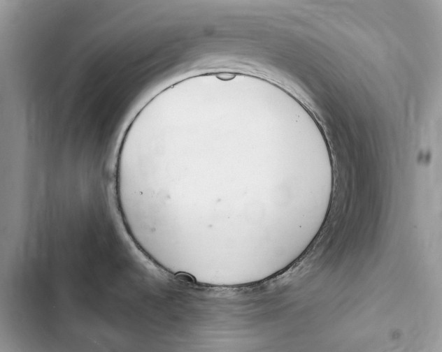 X0000103441536200810031402