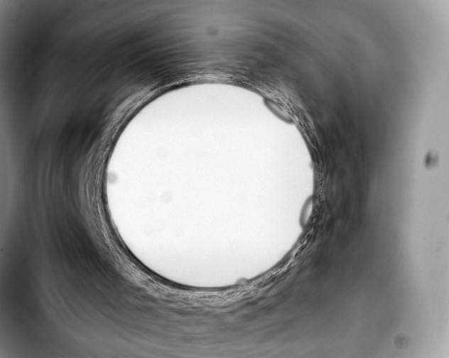 X0000103440001200810101115