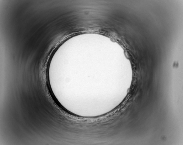 X0000103440002200810101115