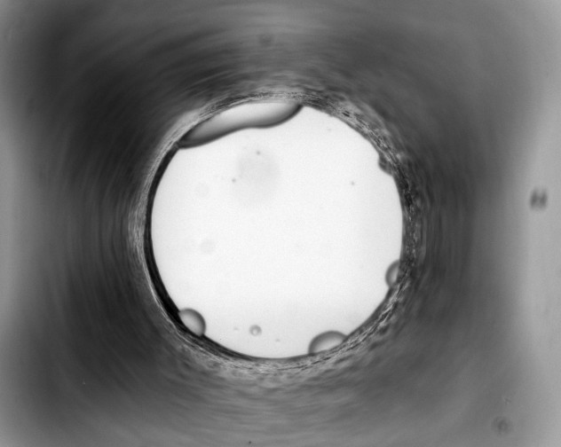 X0000103440003200810101115